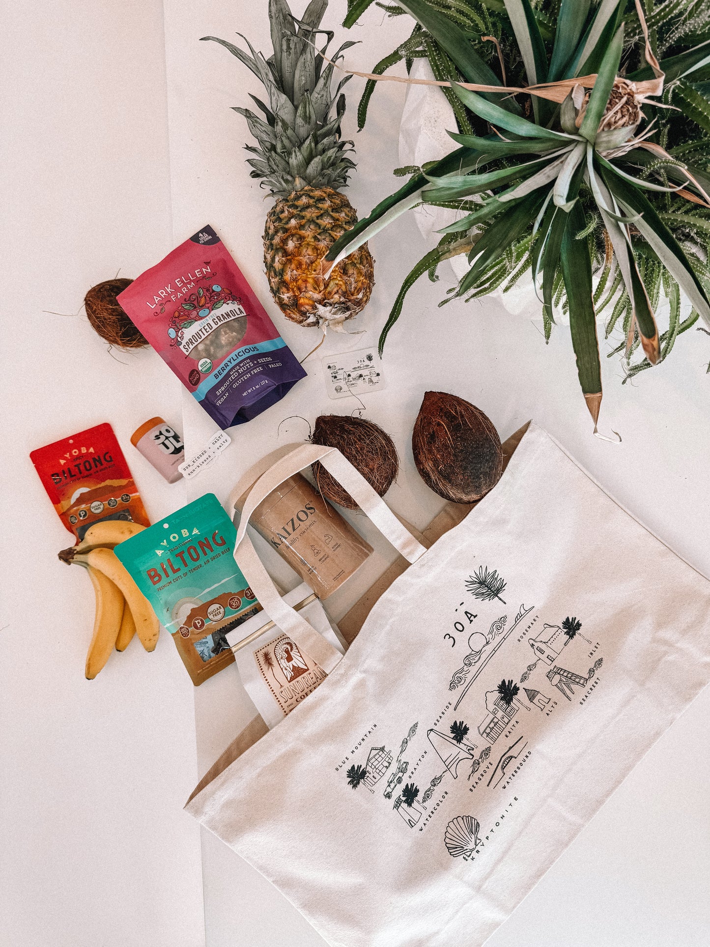 Destination: 30A Tote