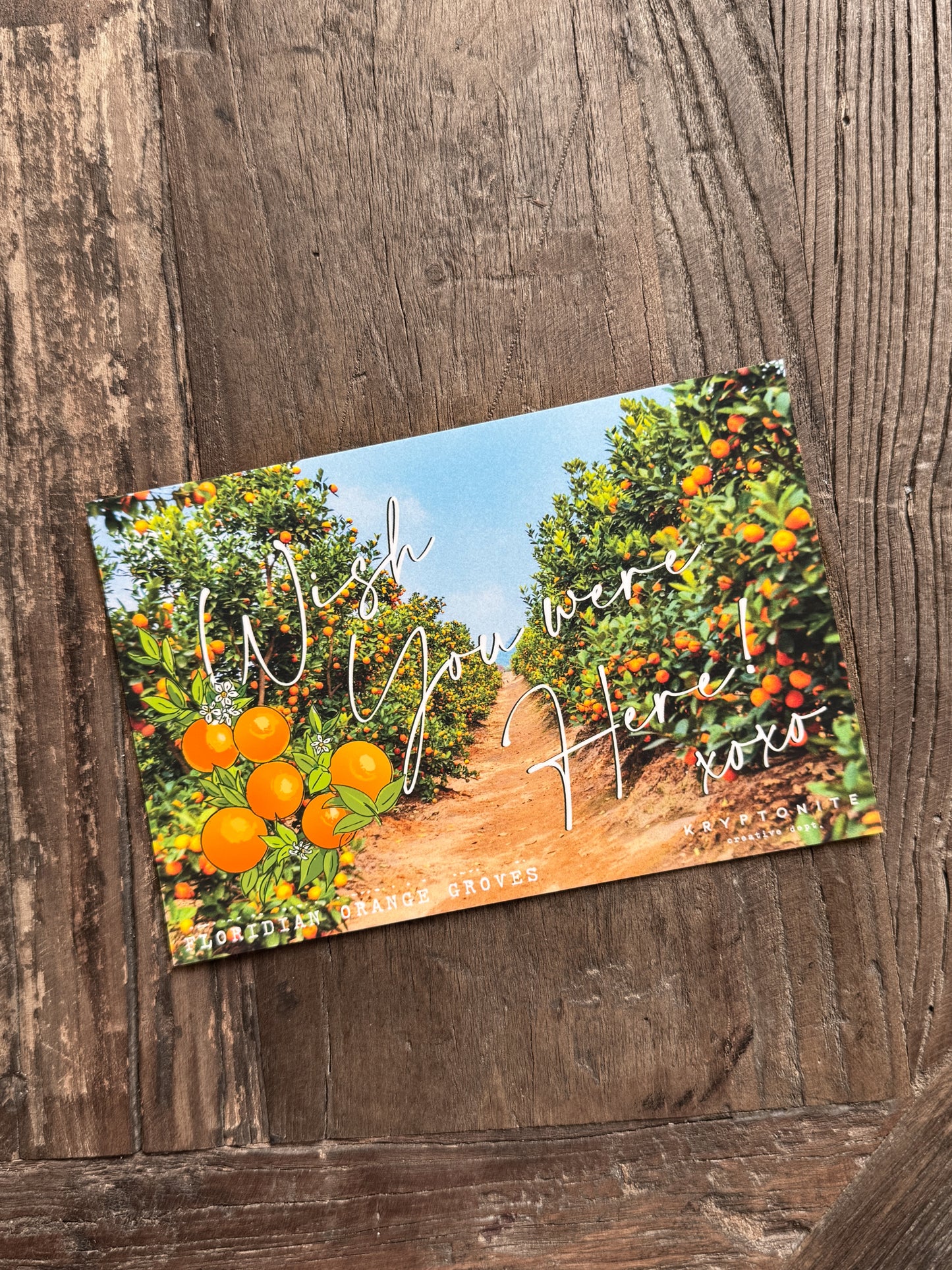 LTD Viva Florida Orange Grove Pin