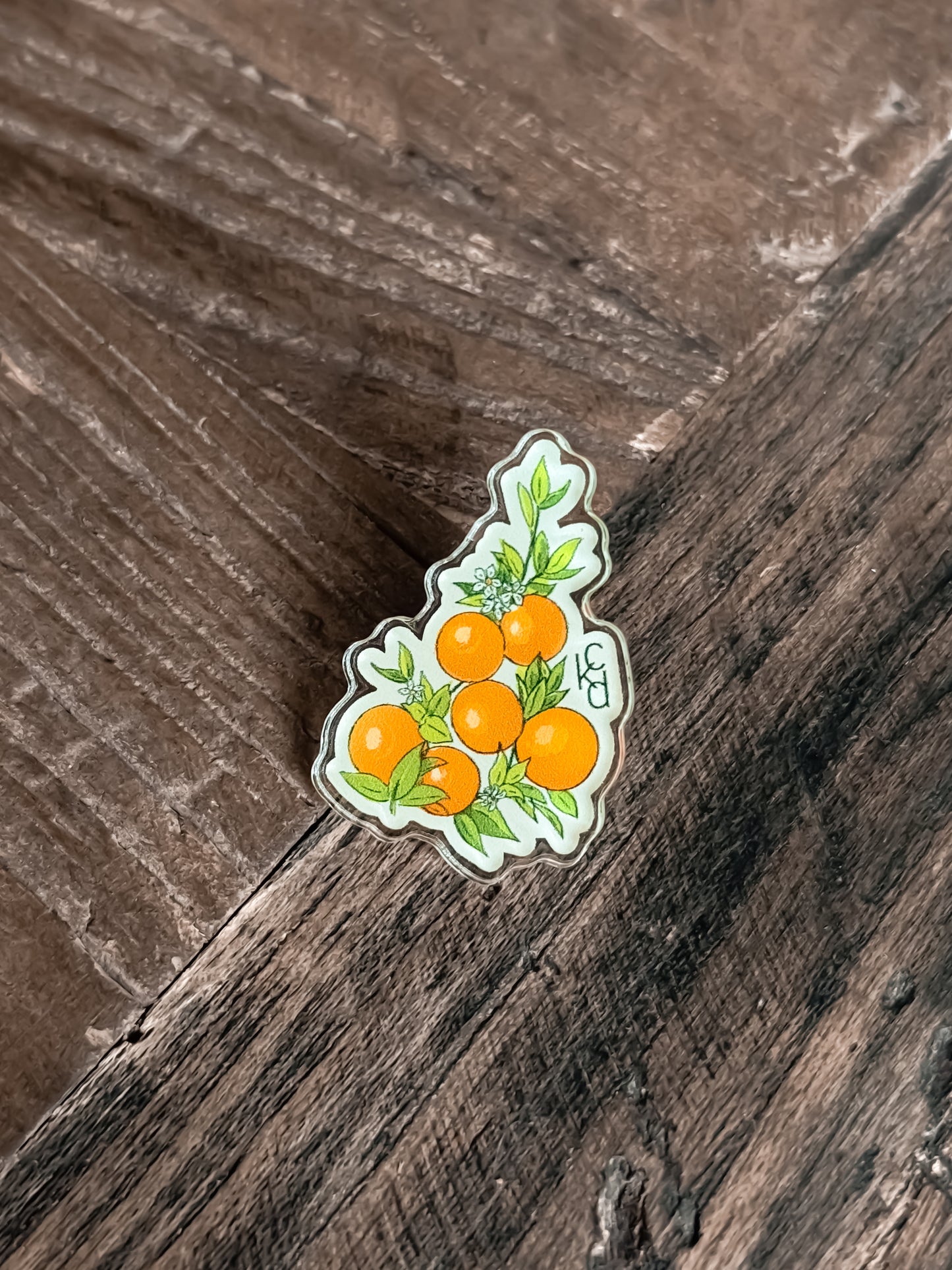 LTD Viva Florida Orange Grove Pin