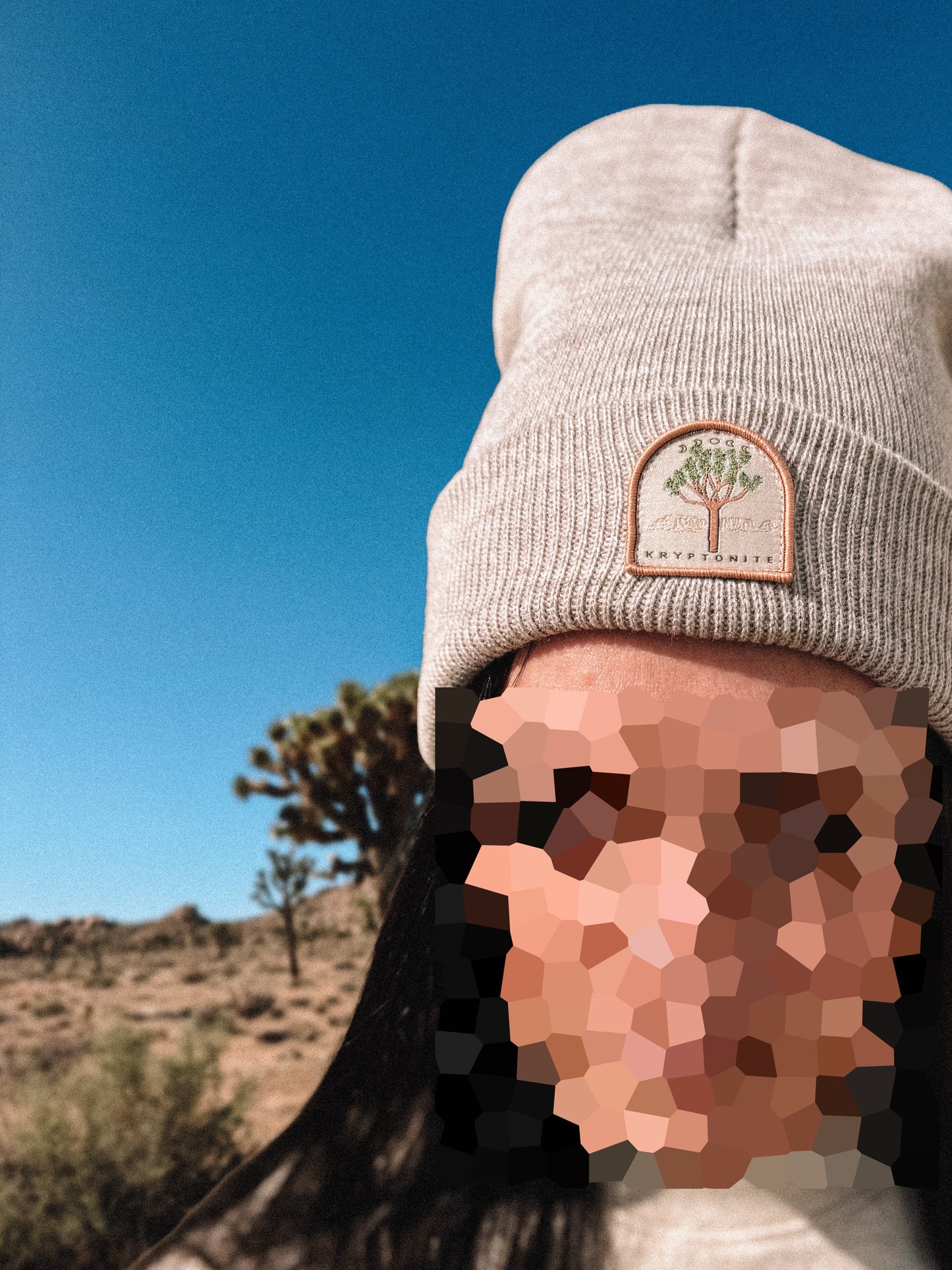 Destination: Joshua Tree Patch Beanie