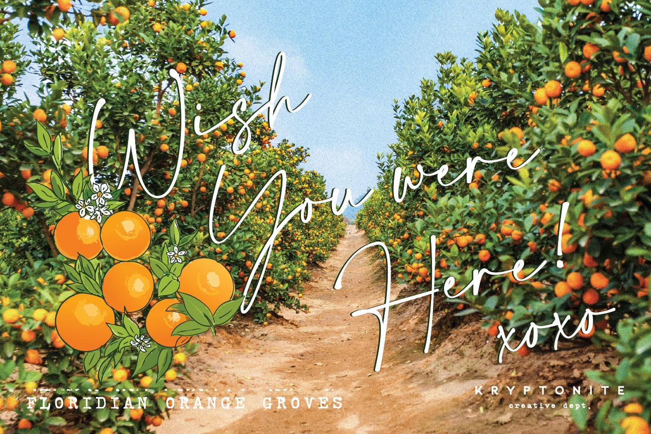 LTD Viva Florida Orange Grove Pin